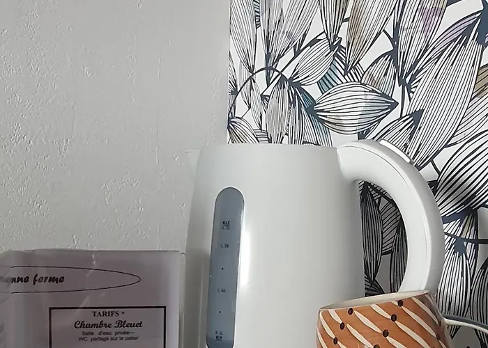 L'ancienne Ferme 3* Courçon